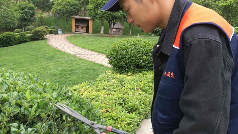 公园绿化项目报价解析：如何合理评估成本**