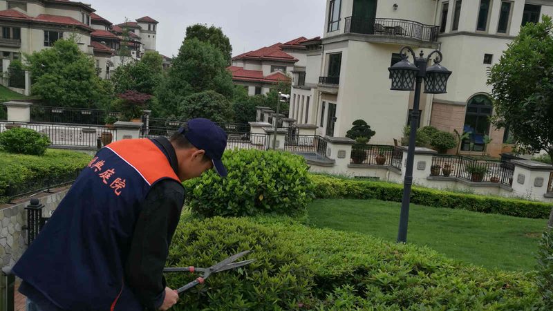 工厂假山喷泉鱼池：揭秘批发价格背后的秘密**