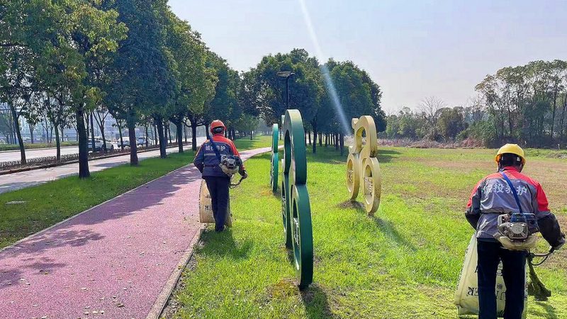 绿化养护服务标准与规范：保障园林品质的关键