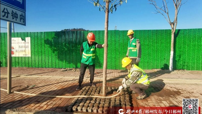屋顶绿化防水标准：关键要点与实施建议