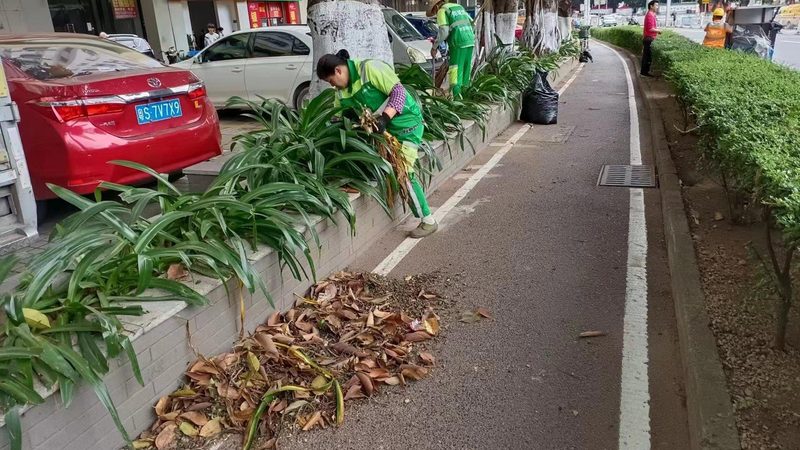 上海小区绿化植物选择：因地制宜，打造生态宜居环境**