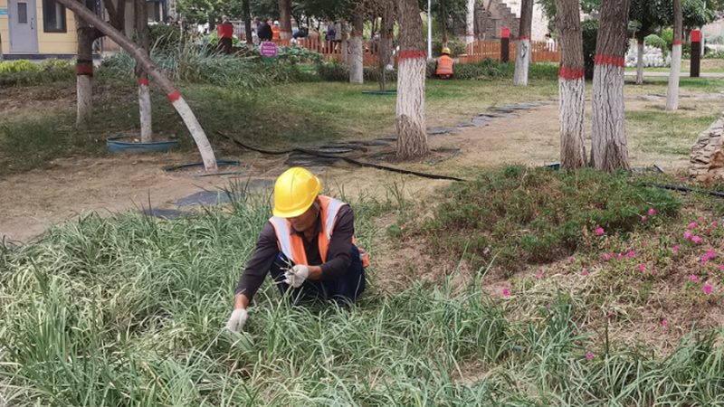 家用草坪打孔工具，如何选择合适的规格型号？**