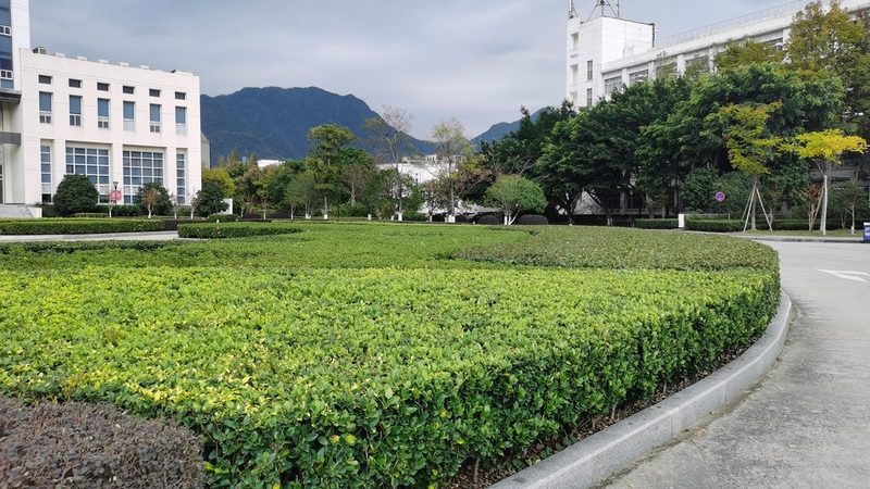 边坡绿化与普通绿化区别