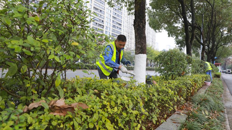 上海花园庭院设计公司报价，如何精准把握？**